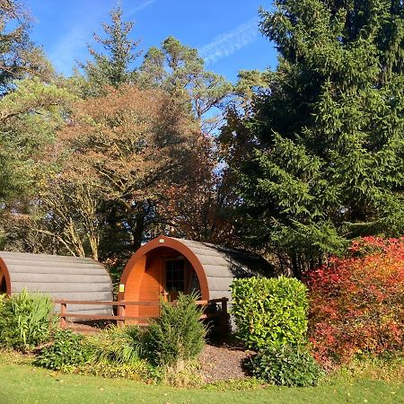 Glamping Hut - By The Way Campsite Тиндрум Екстериор снимка