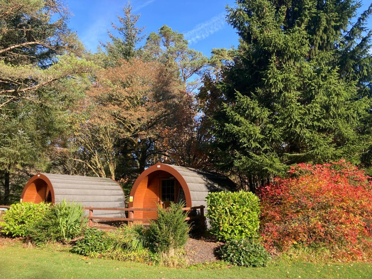 Glamping Hut - By The Way Campsite Тиндрум Екстериор снимка